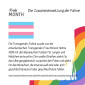 Infos zur Progress-Flagge und Pride Month